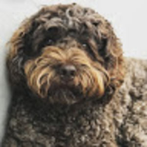 Meet your Posher, Keira